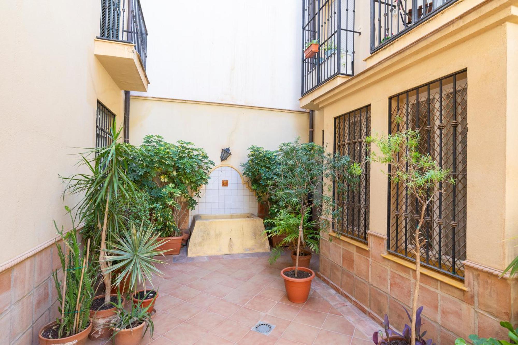 Apartment & Pool In Malaga City Center Exteriér fotografie